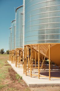grain silo storage Biloela mungbean segregation