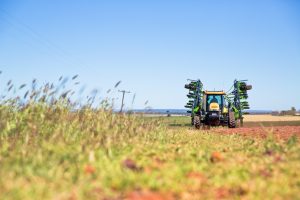 mungbean farmer Australia safe quality healthy green bean