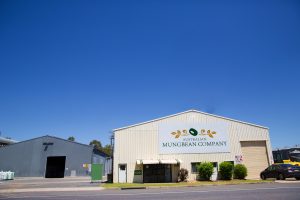 mung bean grading plant shed exporter