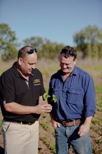 mungbean moong bean green gram Australia farmer grading